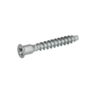 Euro Screw 50mm Length
